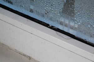 Condensation between window panes, a sign it may be time to replace windows